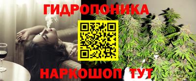 мяу мяу мука Северобайкальск