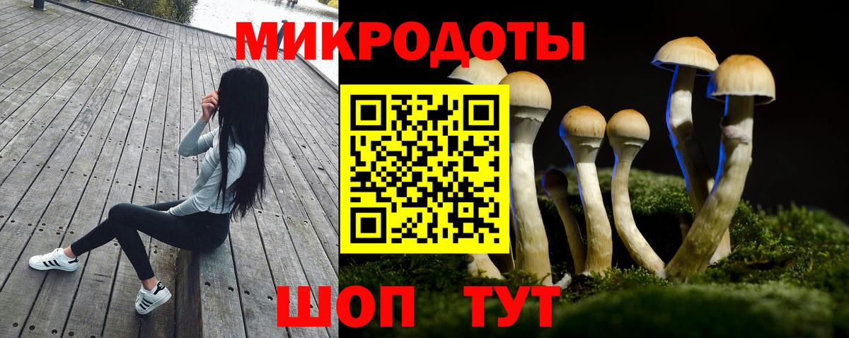 Псилоцибиновые грибы Cubensis Оренбург